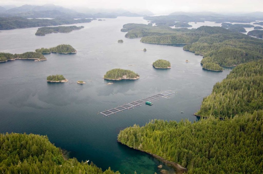 Overhead look at a salmon farm along BC coast.